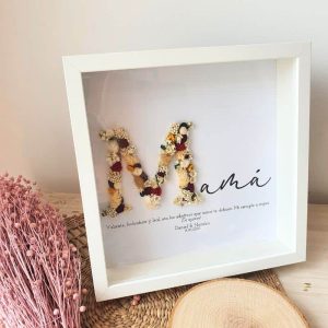 marco-inicial