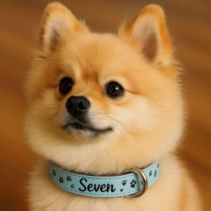Collar Personalizado para Perros