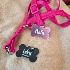 Chapa Personalizada para Perros