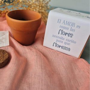 Mini maceta para regalar